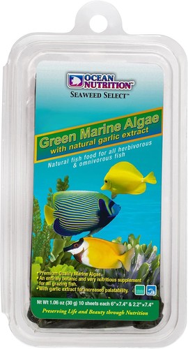 Ocean nutrition seaweed - ocean,