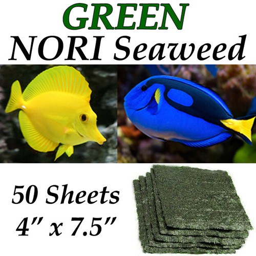 Green nori seaweed sheets - nori,
