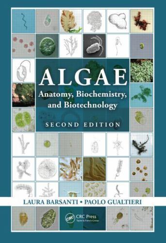 Algae anatomy biochemistry - algae:, anatomy,