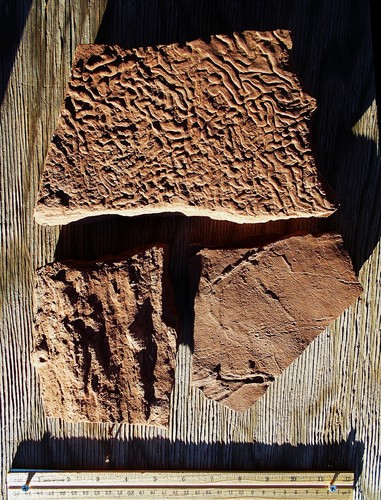 Portion flat root - portion, of