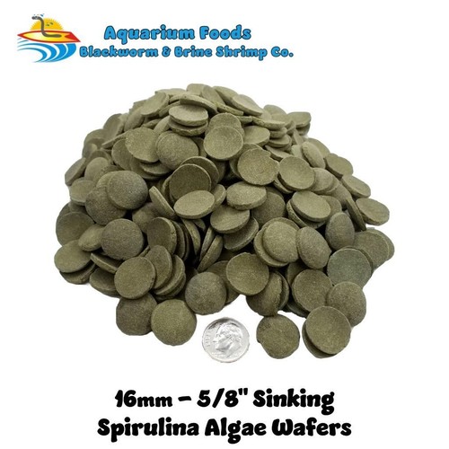 16mm med lg - 16mm-5/8", spirulina