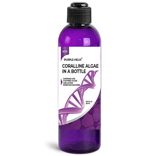 Coralline algae bottle - coralline, in