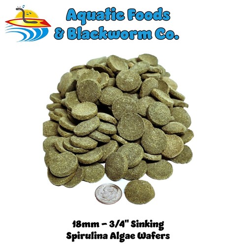 Sinking wafers spirulina - sinking, of